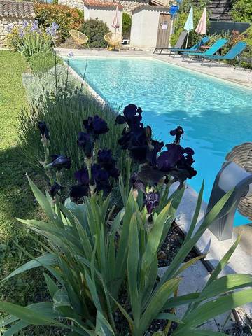 Location de vacances pour 8 personnes, avec piscine et jardin, animaux acceptés à Saint-Amans-du-Pech