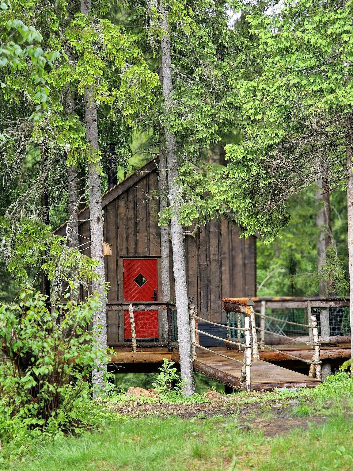 Einzigartige Baumkronenhütte im Wald in Lårdal in Tokke