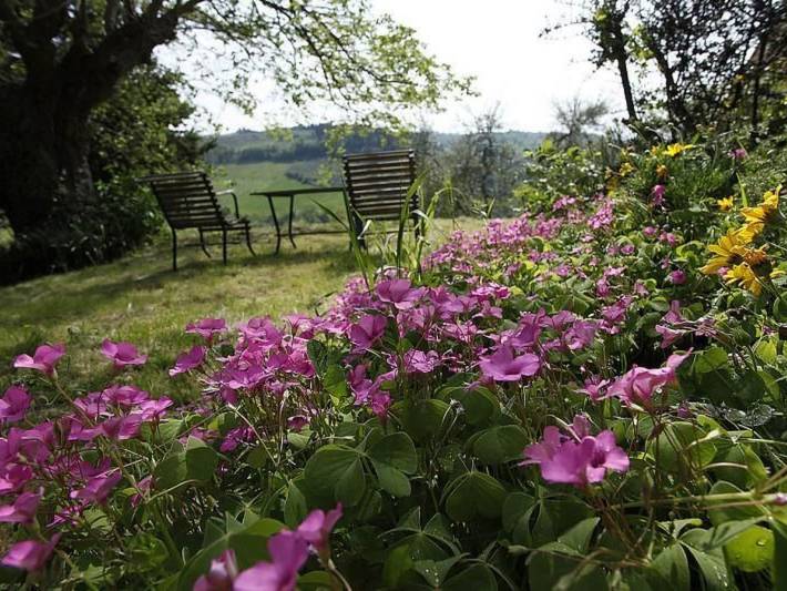 Location de vacances pour 12 personnes, avec piscine et terrasse à San Casciano in Val di Pesa - 2