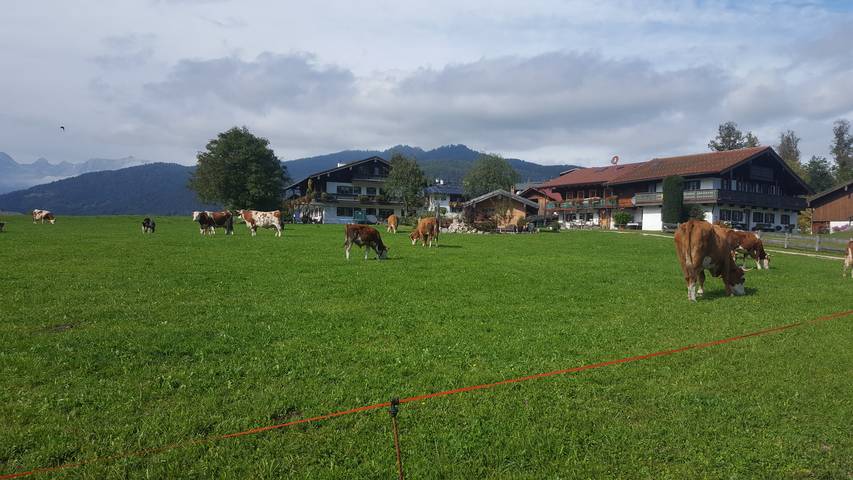 Ferienwohnung für 4 Personen, mit Balkon und Garten in Schönau am Königssee