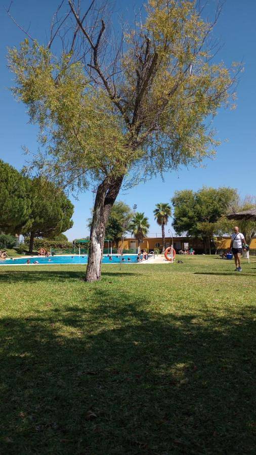 Apartamento entero, El laurel y el limonero. in Guillena, Provincia de Sevilla