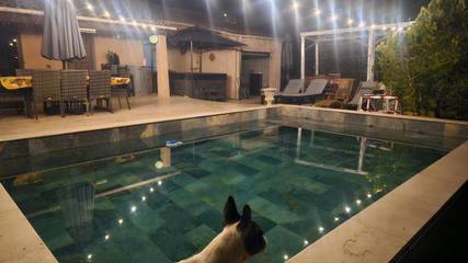 Cottage pour 6 personnes, avec piscine ainsi que jacuzzi et jardin à Pourcieux