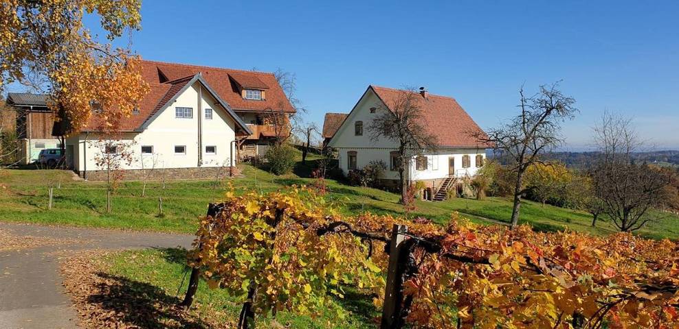 Ferienwohnung für 4 Personen, mit Ausblick und Garten in St. Stefan ob Stainz