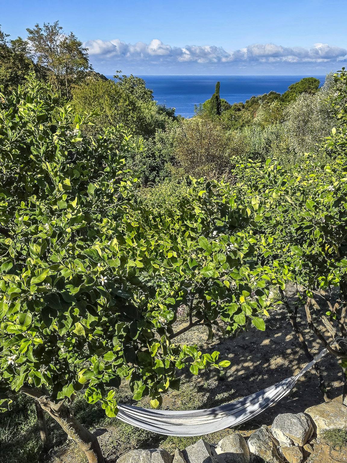 Casa con pergola e tramonti spettacolari a Elba in Zanca, Marciana