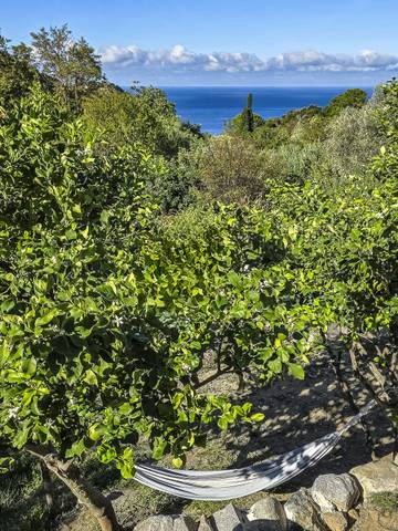 Maison De Vacances pour 5 Personnes dans Zanca, Marciana, Photo 1