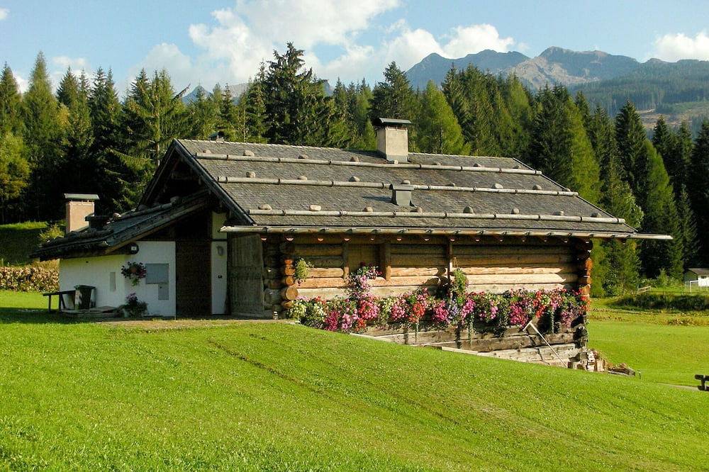 Appartamento intero, Accogliente appartamento per 9 persone con Wifi, Tv e animali ammessi in Dolomiti Superski