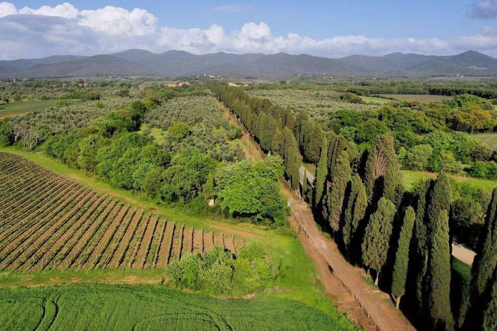 Ganze Wohnung, Casale Bolgherese in Bolgheri, Castagneto Carducci