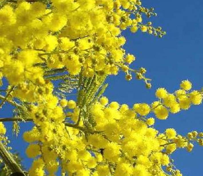 Gîte pour 2 personnes, avec vue et jardin à Pégomas - 2