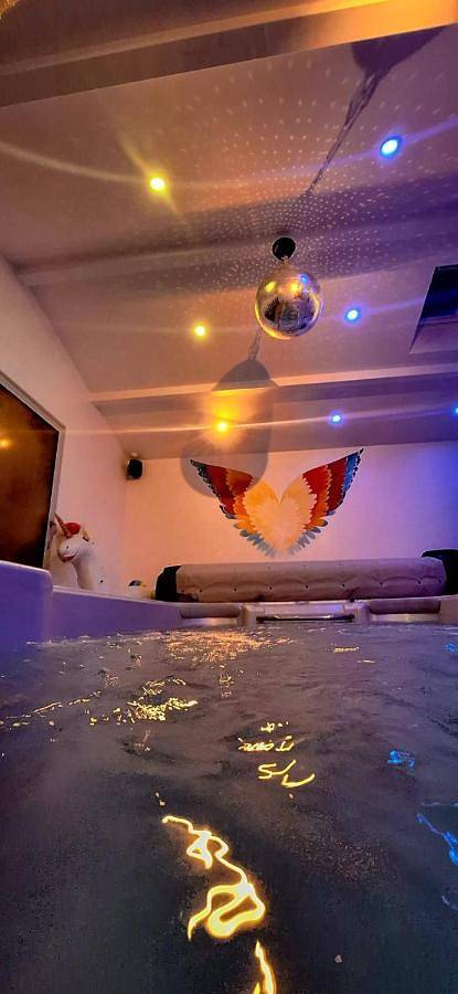 Location de vacances pour 12 personnes, avec jacuzzi ainsi que jardin et piscine à Saint-Junien - 2