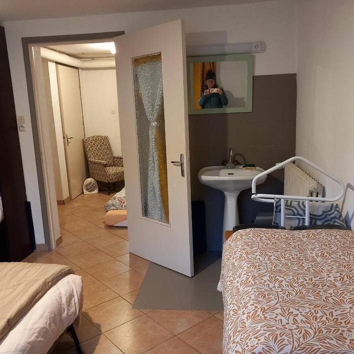 Gîte pour 3 personnes, avec terrasse, animaux acceptés à Dangé-Saint-Romain - 2