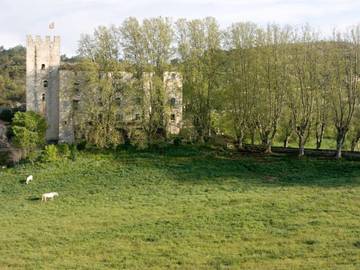 Location de vacances pour 2 personnes, avec jardin à Esparron-de-Verdon