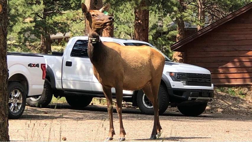 Vacation house for 8 people, with balcony in Estes Park