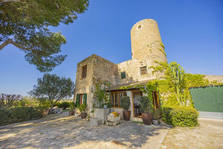 Villa Es Moli / Son Femenia in Santa Margalida, Mallorca Norden