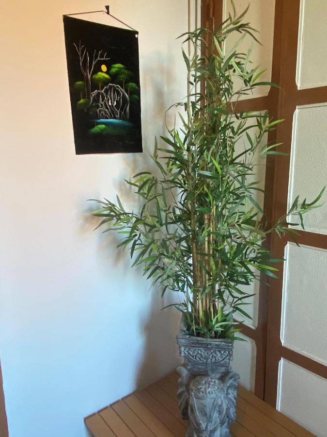 Hôtel pour 2 personnes, avec Terrasse ainsi que Jardin et Vue