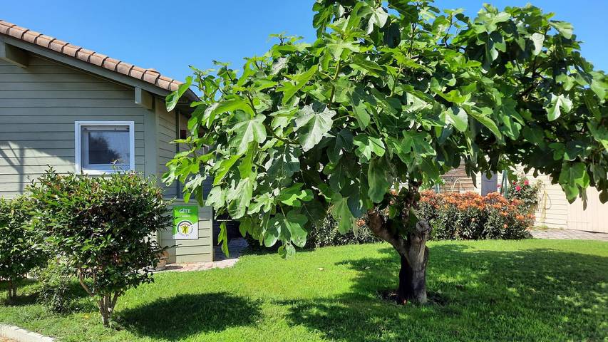 Chalet pour 2 personnes, avec jardin dans les Landes - 2
