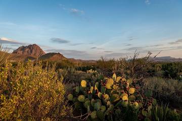 Bungalow für 4 Personen in Big Bend Nationalpark, Texas, Bild 2