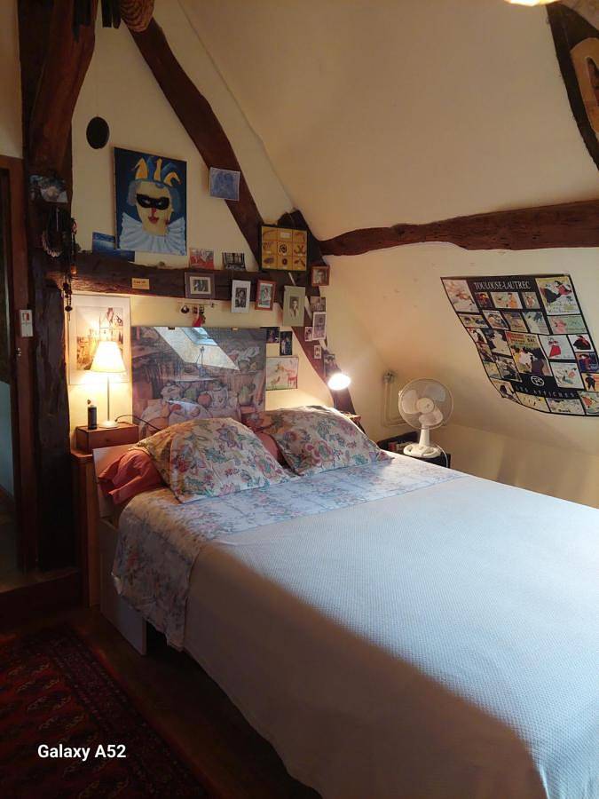 Standard Double Room in La Croix-en-Touraine, Région de Tours