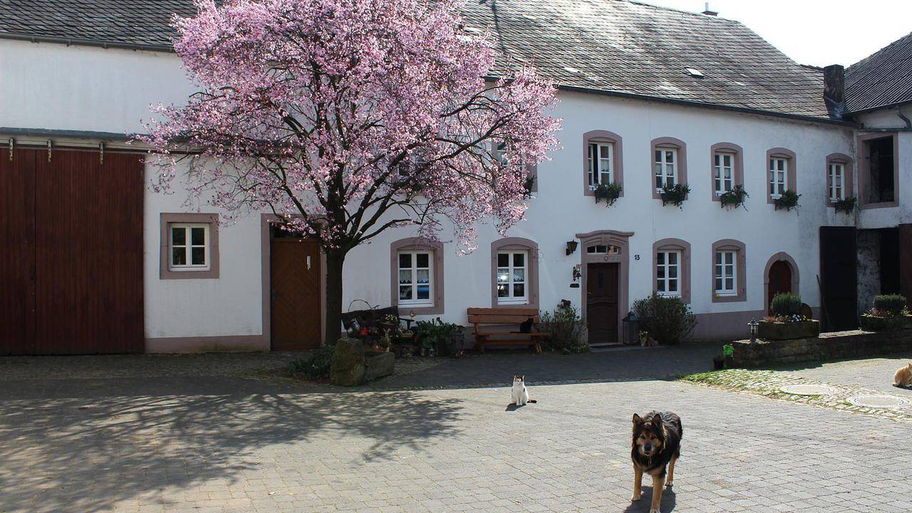 Ganze Ferienwohnung, Ferienwohnung für 4 Personen (60 m²) in Halsdorf in Halsdorf, Eifelkreis Bitburg-Prüm