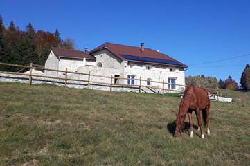Chambre d’hôte pour 2 personnes, avec terrasse dans Parc naturel régional du Haut-Jura