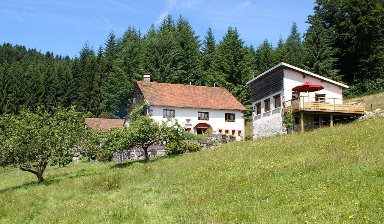 Blanche-Roche, Chambre et table d'hôtes au calme in Cleurie, Région d'Épinal
