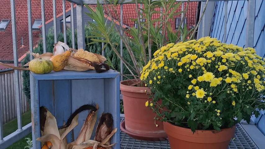 Ferienwohnung für 3 Personen, mit Balkon in Handewitt