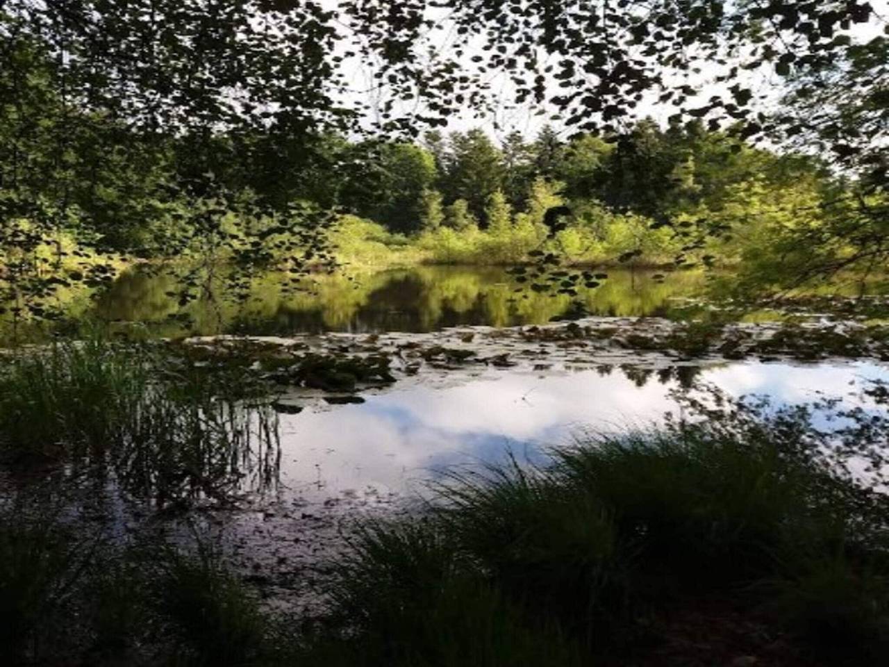 6 Personen Ferienhaus in Væggerløse-By Traum in Væggerløse, Schwedische Ostsee