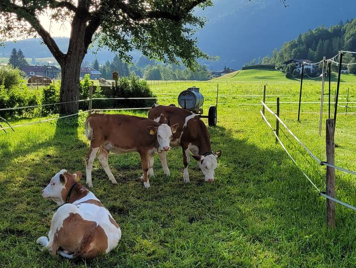 Ingerlhof - Chiemgau Karte - Doppelzimmer Nr. 6 mit Etagendusche und Wc und Balkon in Inzell, Bayerische Alpen