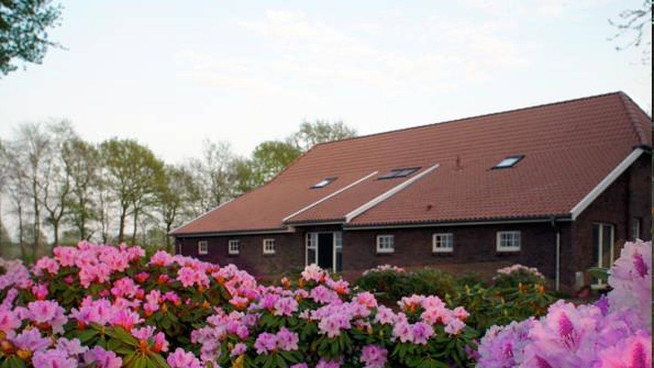 Ganze Ferienwohnung, Ferienwohnung für 4 Personen (95 m²) in Westerstede in Westerstede, Ammerland