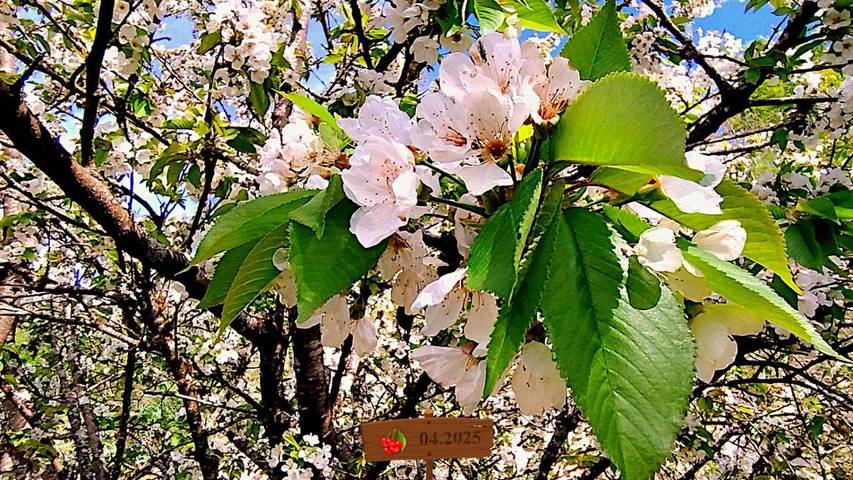 Location de vacances pour 6 personnes, avec jardin et jacuzzi à Luynes - 4