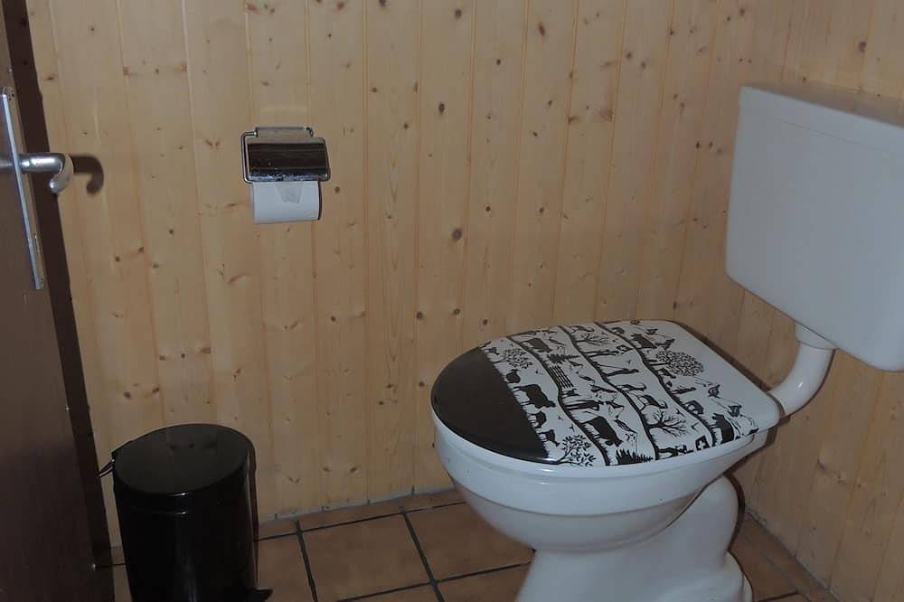 Lovingly furnished Alphüttli in Wilderswil, Meer van Thun