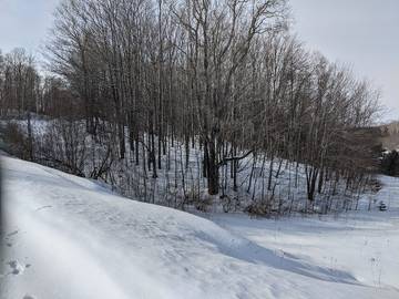 Lake House for 8 Guests in Lake Michigan, Michigan, Picture 1