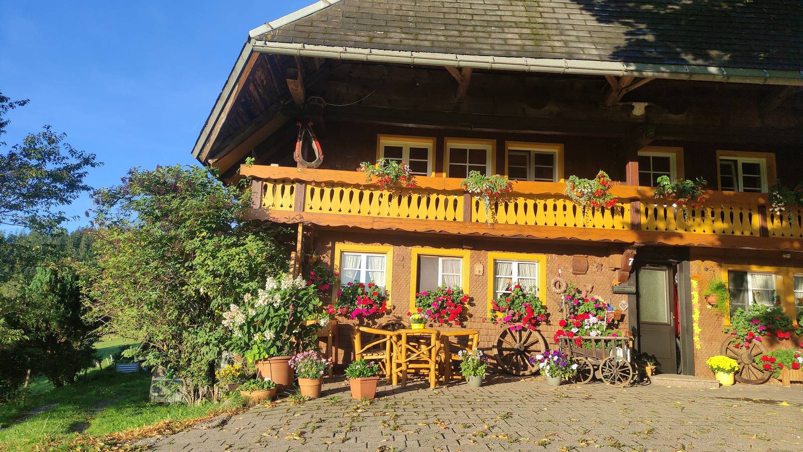 Ganze Wohnung, Apartment 'Reesbauernhof - Fewo Abendrot' mit Bergblick, Gemeinschaftsterrasse & Wlan in Hofsgrund, Oberried