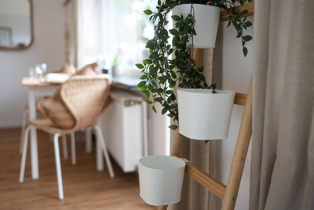 Ganze Wohnung, One-Bedroom Apartment in Metternich, Koblenz