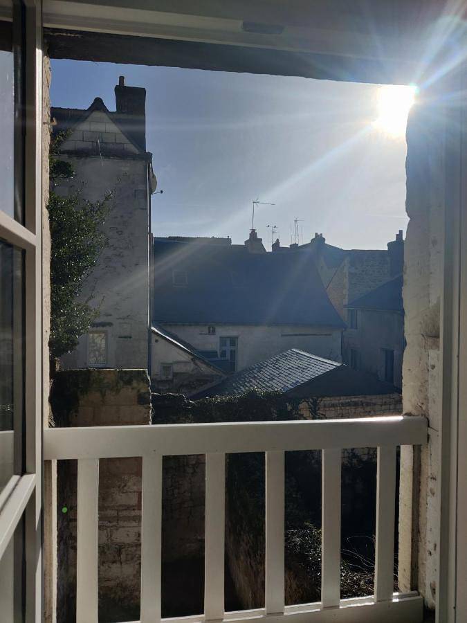 Ganze Wohnung, Grand appart 2 chambres - Hyper centre - Calme in Chinon, Loire-Tal