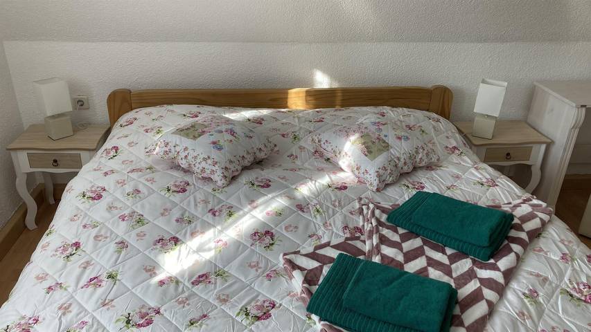 Ganze Ferienwohnung, Appartement/Fewo, Dusche und Bad, Wc, Bergseite in Schellerhau, Altenberg