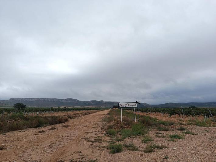 Chalet para 2 personas, con jardín además de piscina y vistas, Se admiten mascotas en Provincia de Albacete - 3