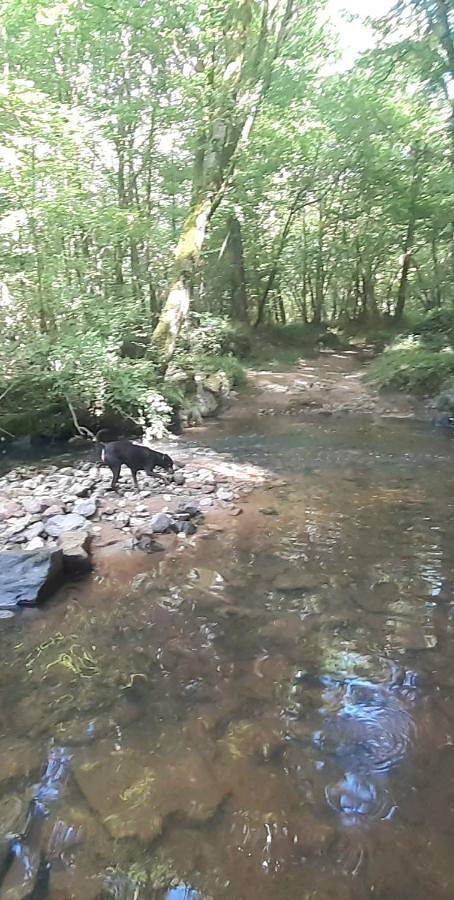 Tente pour 4 personnes, avec jardin ainsi que vue et sauna dans Haute-Vienne - 4