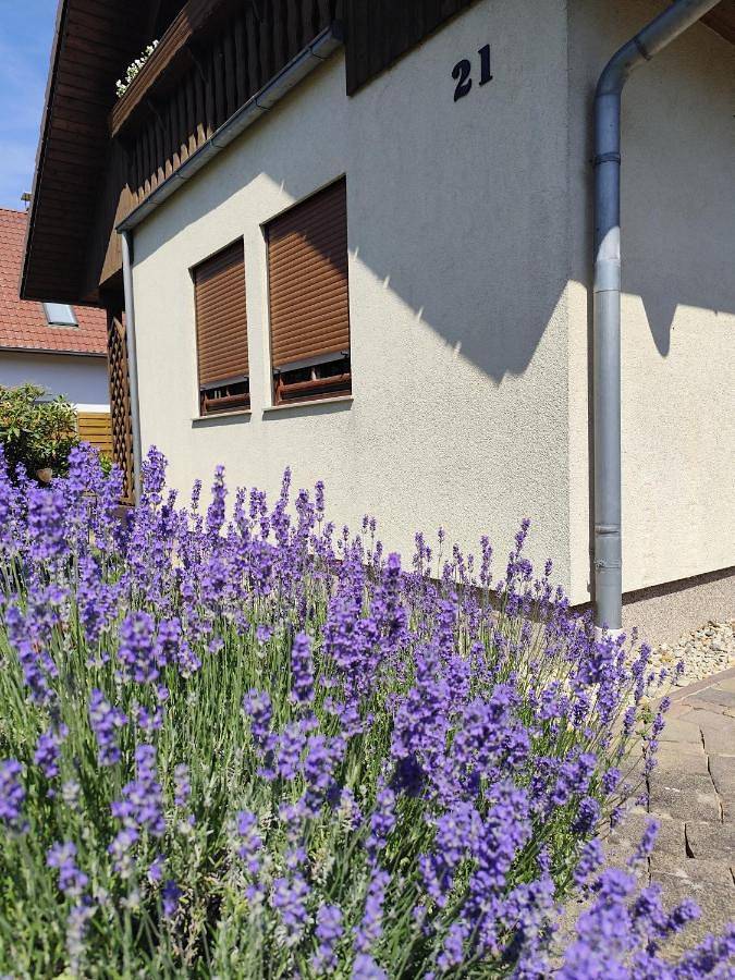 Ferienhaus für 6 Personen, mit Balkon und Terrasse sowie Garten und Ausblick in Kolkwitz - 3