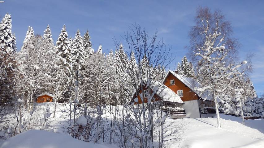 Zimmer 'Einzelzimmer Mit Du Wc' mit Bergblick, Gemeinschaftsterrasse und Wi-Fi in Blasiwald (Schluchsee), Schluchsee