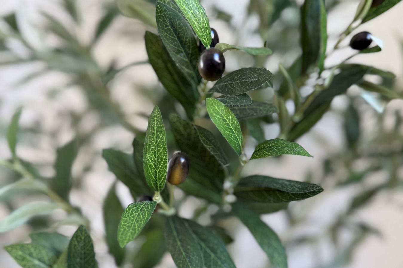 Ganze Wohnung, Ferienwohnung für 4 Personen mit Terrasse in Puerto de la Duquesa, Manilva