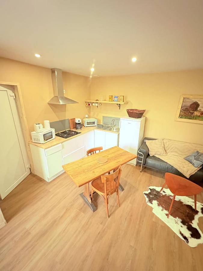 Gîte pour 3 personnes, avec terrasse à Patornay - 4