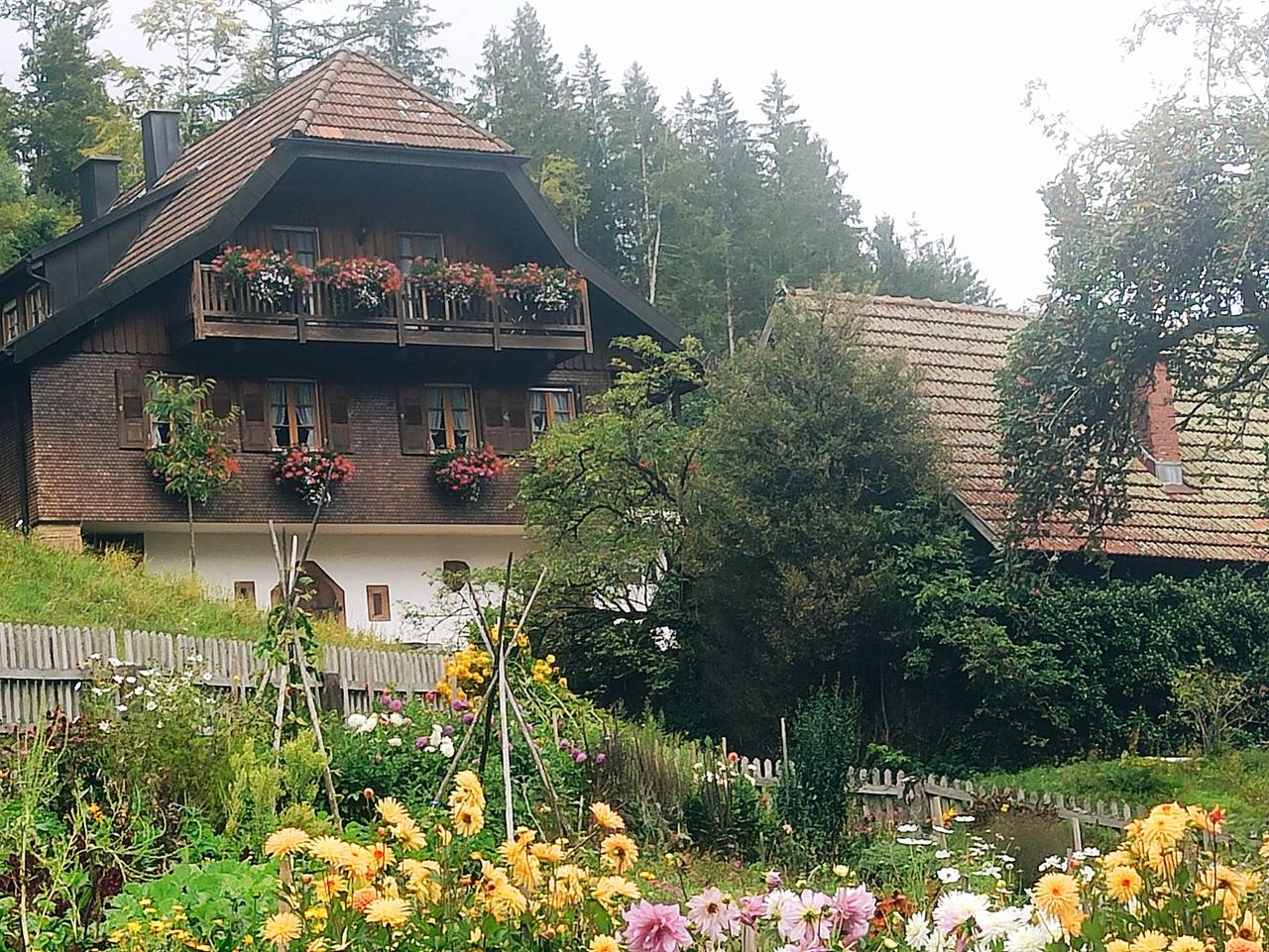 Ganze Wohnung, Ferienwohnung 'Talblick' mit Gemeinschaftsgarten, Balkon und Wi-Fi in Bad Rippoldsau-Schapbach, Mittlerer Schwarzwald