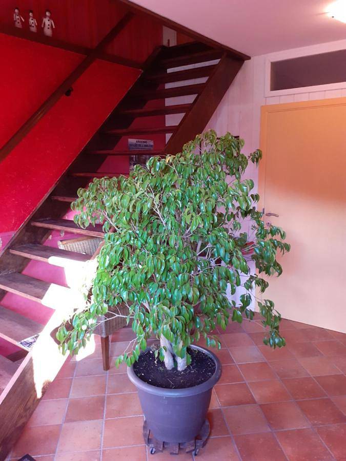 Location de vacances pour 4 personnes, avec jardin et vue dans Sougné-Remouchamps - 4