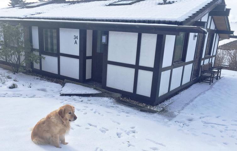 Rückzugsort am See mit Terrasse & Parkplatz in Obermielinghausen in Meschede, Hochsauerlandkreis