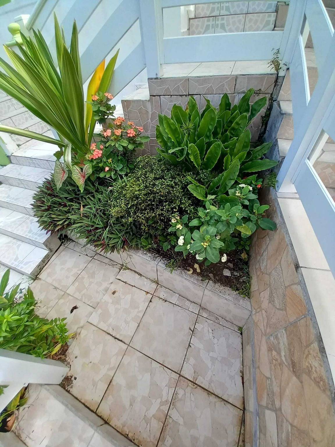 Ganze Wohnung, Gemütliche Wohnung in Deshaies mit Balkon - 35 m² in Deshaies, Guadeloupe