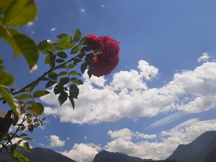 Hôtel pour 2 personnes, avec jardin et vue, animaux acceptés à Guillestre - 2