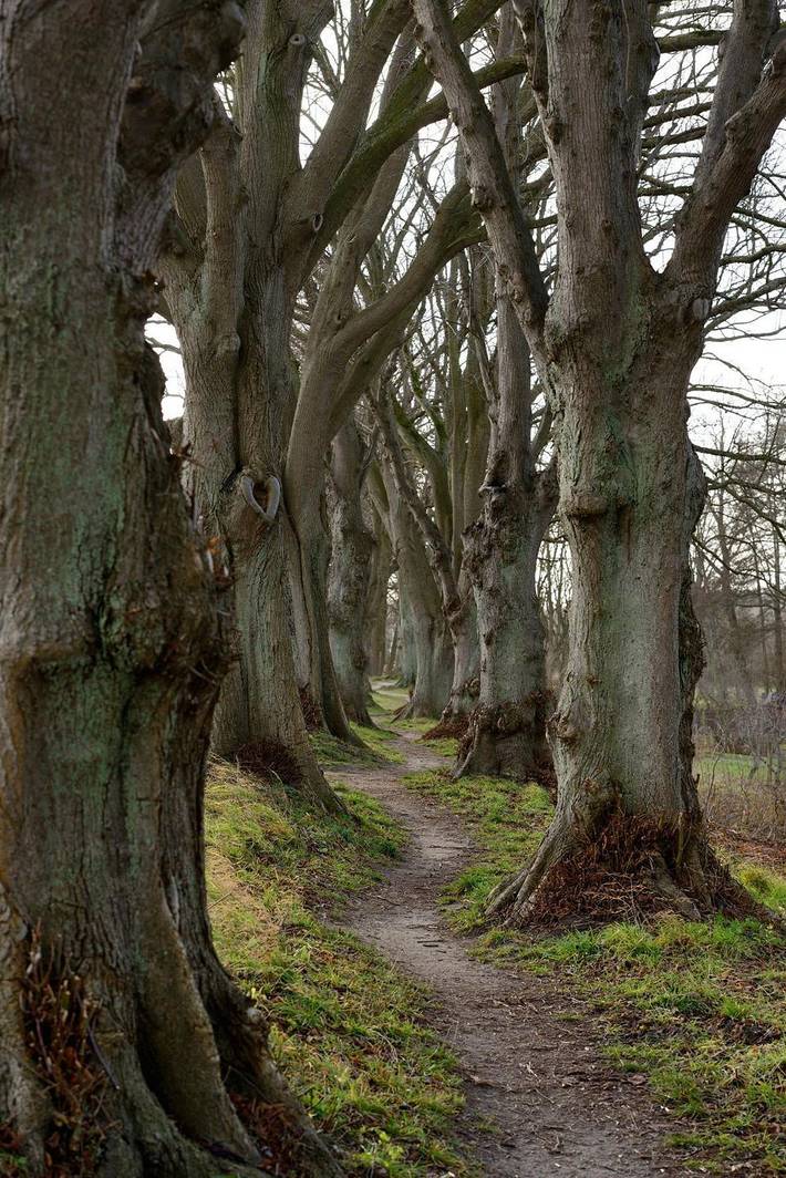 Ferienhaus für 3 Personen, mit Garten und Seeblick in Warin - 4