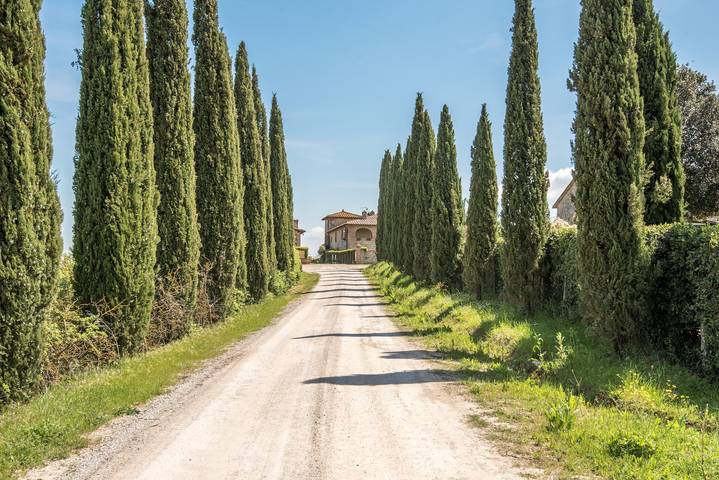Geheel appartement, Appartement Torre di Corsanello met uitzicht op het meer, tuin & Wi-Fi in Monteroni d'Arbia, Provincie Siena