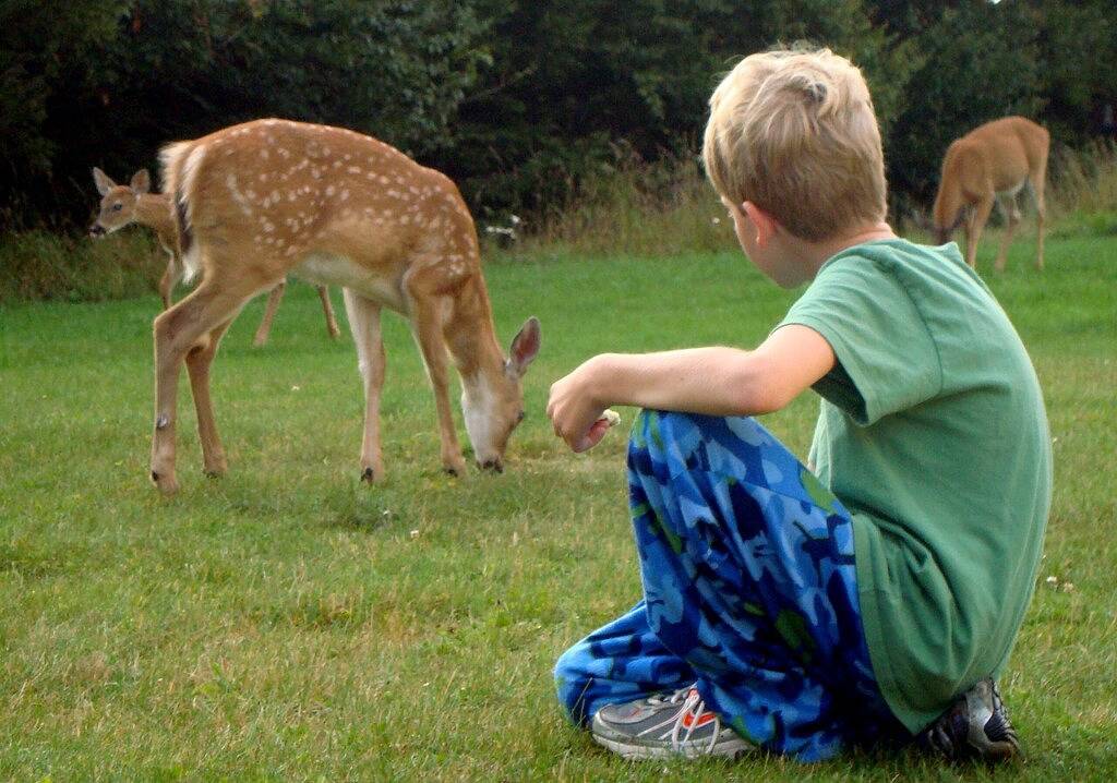 Ganze Wohnung, Best Deal in Almost Heaven !! in Snowshoe, Greenbrier River