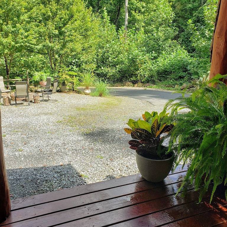 Moonlight Ridge - a wonderful little log cabin on 4 wooded acres in Blue Ridge Parkway, Jackson County